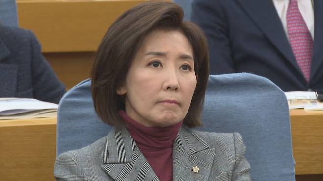 나경원 국민의힘 의원