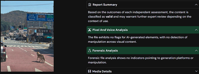 한 합성 미디어 탐지 플랫폼 확인 결과 캡처 화면
