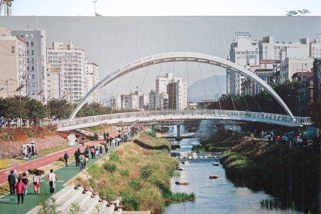 topia(bridge) 복사 중간