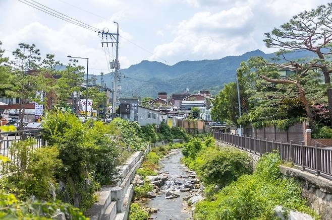 사일구로(4·19로) 근처 대동천변에 녹음이 우거져 있다. 강북구 제공
