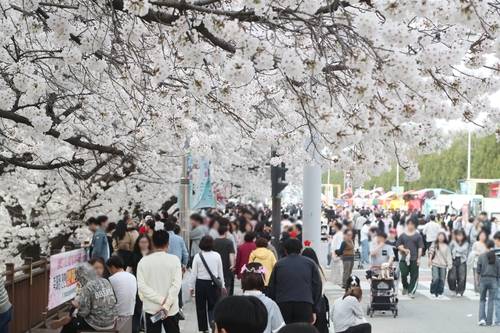청주예술제 야외행사 [청주시 제공. 재판매 및 DB금지]