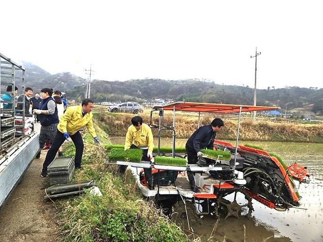 첫 모내기 일손 돕기 [순창군 제공. 재판매 및 DB 금지]