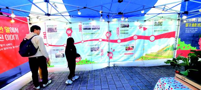 축제장 부스에 설치된 밀양 삼랑진 딸기의 역사.