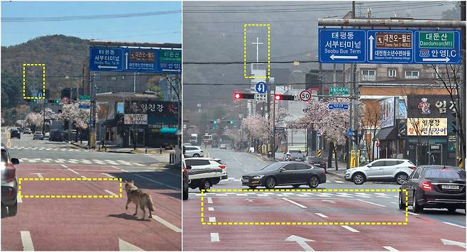 소셜미디에 올라온 AI 조작으로 의심되는 대전 오월드 늑대 탈출 사진(왼쪽)과 10일 본지 기자가 촬영한 같은 장소의 사진을 비교해 보면 노란색 점선 부분이 다름을 알 수 있다./신현종 기자