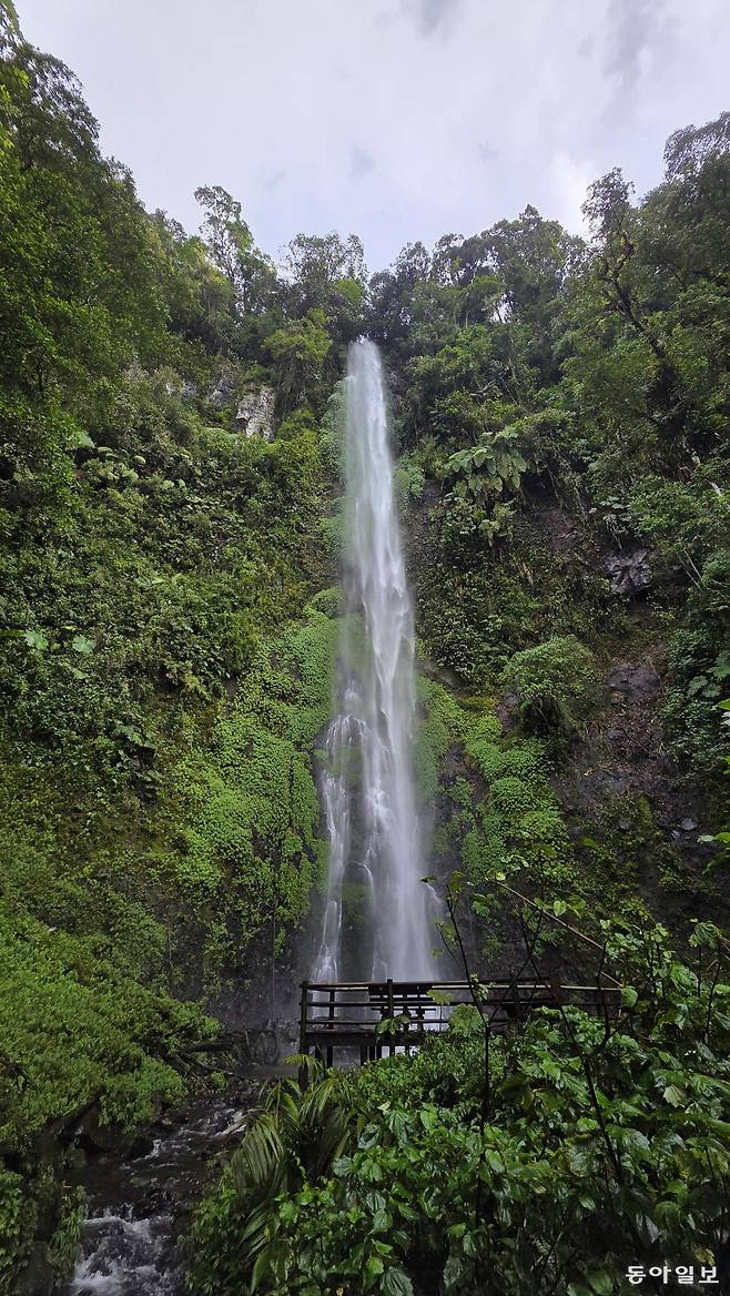콜롬비아 고산지대 원시림 속에서 안데스의 생명력을 증명하는 로스 프라이레스 폭포.