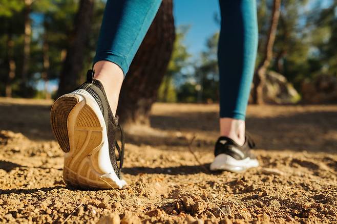 사진=게티이미지뱅크.