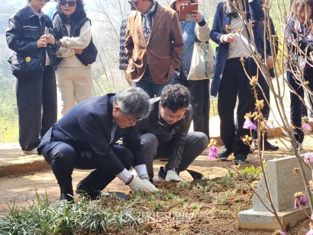 ▲ 허민 국가유산청장과 전대복 영월 부군수 등이 장릉 앞 정령송 주변에 사릉에서 채취한 맥문동  들꽃을 심고 있다.