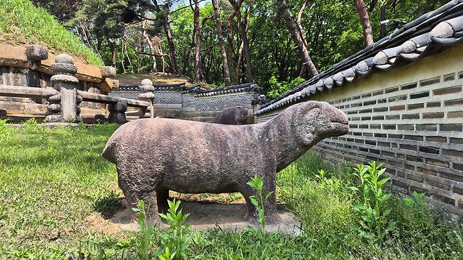 2025년 5월 초순의 건원릉 [촬영 김정선]