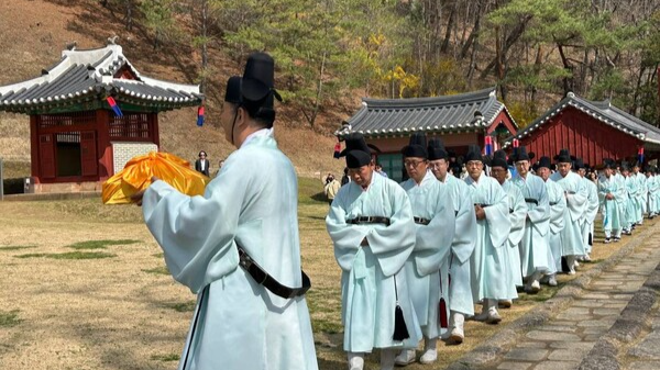 지난 11일 단종(재위 1452∼1455)의 능인 강원 영월 장릉에서 남양주 사릉에서 채취한 들꽃을 옮겨 심은 행사를 알리는 고유제가 열리고 있다.