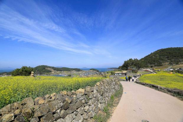 돌담이 이어지는 청산도 마을 풍경. <완도군>