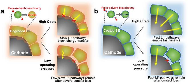 연구 이미지. /포스텍 제공