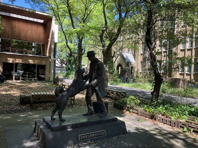 도쿄대 농학부 건물 앞에 세워져있는 우에노 박사와 하치의 동상. X.