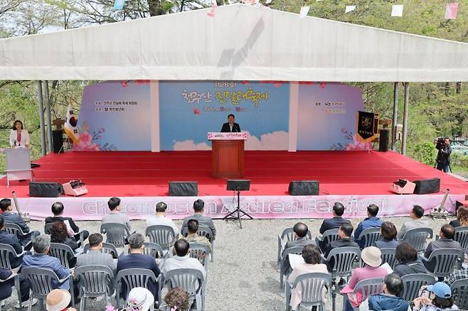 천주산 진달래축제 모습.