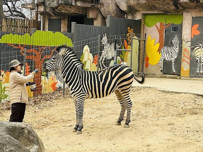 서울어린이대공원 방사장 벽면에 얼룩말 그림이 보인다. 사진 서울어린이대공원