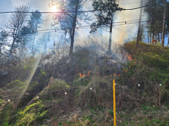 ▲ 12일 오후 3시 32분쯤 춘천시 서면 안보리의 한 야산에서 불이났다. 강원소방본부 제공.