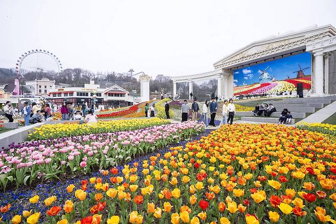 튤립축제가 한창인 튤립 포시즌스 가든.