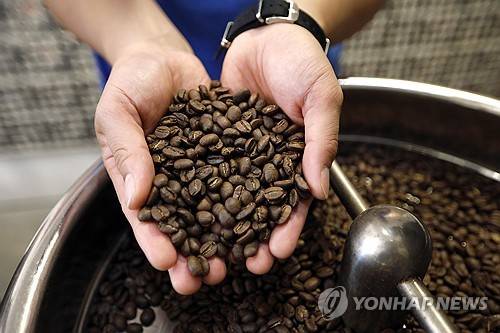 커피 원두 [EPA=연합뉴스 자료사진] 기사의 특정 내용과는 무관한 사진임