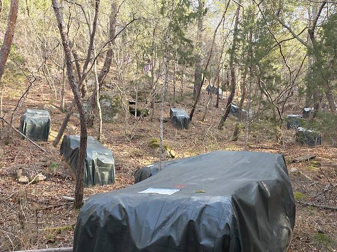 ▲ 국립공원 경주남산지구 곳곳에 소나무재선충병 감염목 훈증 그물망이 마치 '공동묘지' 처럼 흩어져 있어, 재선충병의 심각성을 보여주고 있다. 황기환 기자