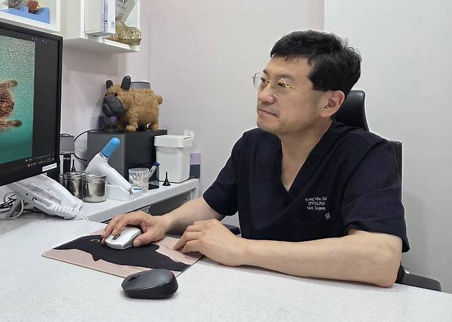 최영민 수의사는 늑대 늑구의 야생 적응 가능성에 '충분히 가능하다'는 의견을 제시했다. ⓒ 뉴스1