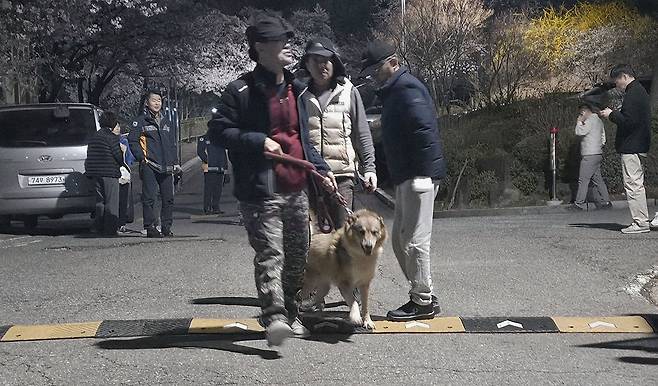 대전 오월드를 탈출한 늑대 수색을 위해 늑대 한마리가 동원됐다. 김성태 객원기자