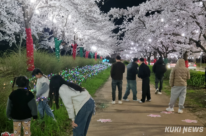 최근 강릉지역엔 경포·솔올·남산 등 3대 벚꽃축제가 열려 국내 62만여명의 관광객들이 다녀간데 이어 고양에서 열린 BTS콘서트의 영향으로 한류 관광지로 입소문 난 주문진 BTS 버스정류장을 찾는 외국인 관광객의 발걸음이 끊임없이 이어지는 등 국내외 관광객의 방문이 눈에 띄게 증가하고 있다. 경포벚꽃축제 모습. 강릉시 제공