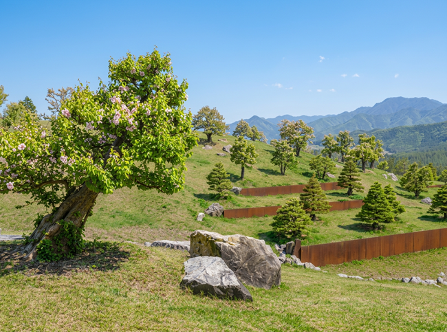 풍설기천년 모과나무 정원 전경 / 사진=사유원