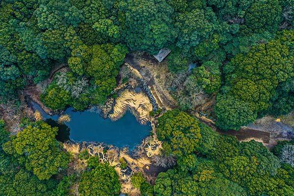 먼물깍과 주변 숲. 선흘리 주민들이 대대로 기대 산 삶의 터전이다.