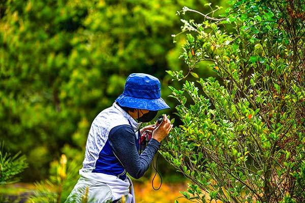 선흘리 동백동산은 신기한 식물이 가득하다. 살펴보는 재미가 유별나다.