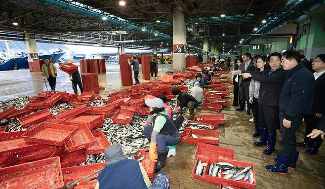 부산공동어시장 찾은 황종우 해양수산부 장관 [해양수산부 제공. 재판매 및 DB 금지]