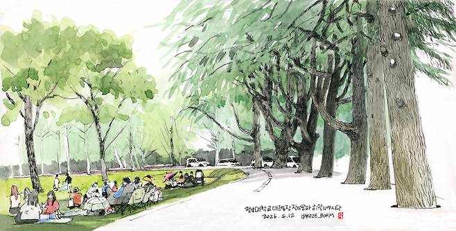 20260412_전남대학교 대운동장 주변 잔디밭과 개잎깔나무