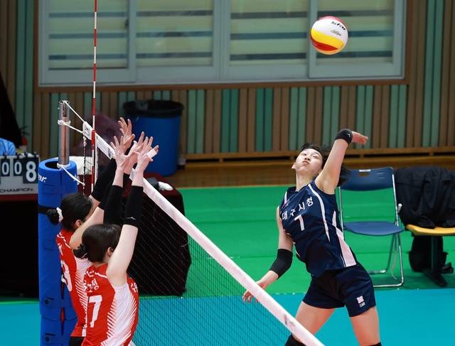 '2026 한국실업배구연맹전'에서 대구시청 공격수가 스파이크를 시도하고 있다. 대구시체육회 제공