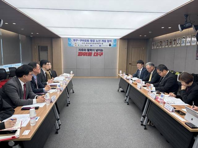 14일 대구시 산격청사에서 열린 대구-구마모토 항공 노선 개설 간담회에 참석한 대구시와 일본 구마모토현청 및 구마모토 공항 관계자들이 의견을 나누고 있다. 대구시 제공