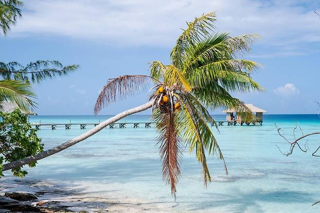 독자 이해를 돕기 위한 이미지로 기사 특정 내용과 관계없음. (사진&nbsp;pixabay)/뉴스펭귄