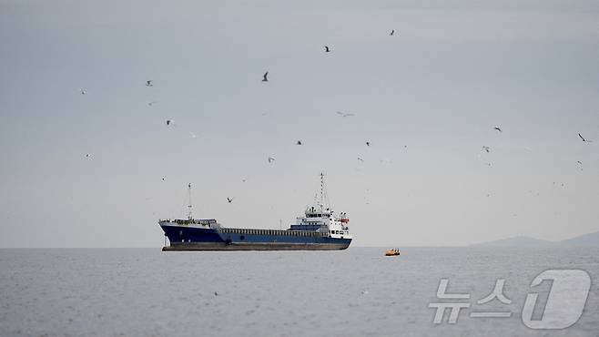 12일(현지시간) 호르무즈 해협의 오만 무산담주 해안에 있는 선박의 모습. 2026.04.12. ⓒ 로이터=뉴스1