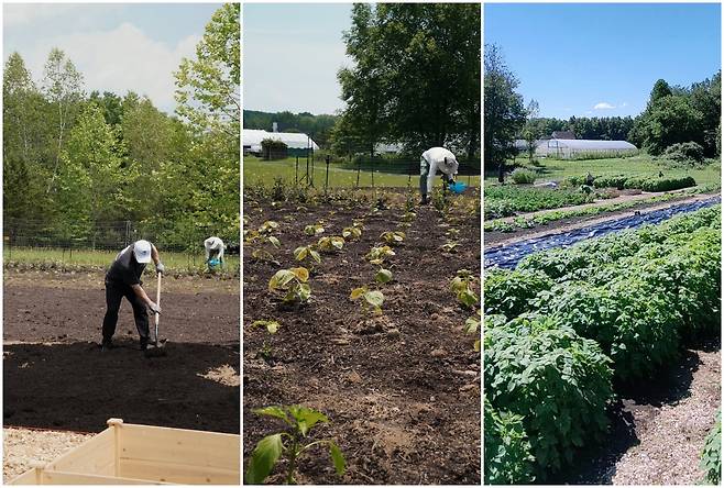 미국 뉴욕에서 밭을 개간한 한인 셰프들. 이들은 이곳에서 직접 깻잎, 풋고추, 가지, 도라지 등을 재배해 식자재로 쓴다./신창호 셰프 제공