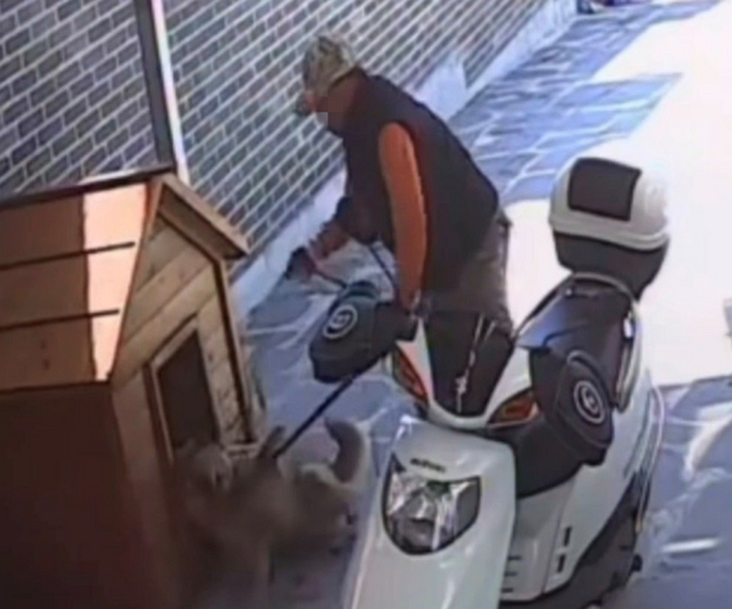 무단 침입해 반려견을 끌고 가는 A씨.ⓒ동물구조단체 유엄빠