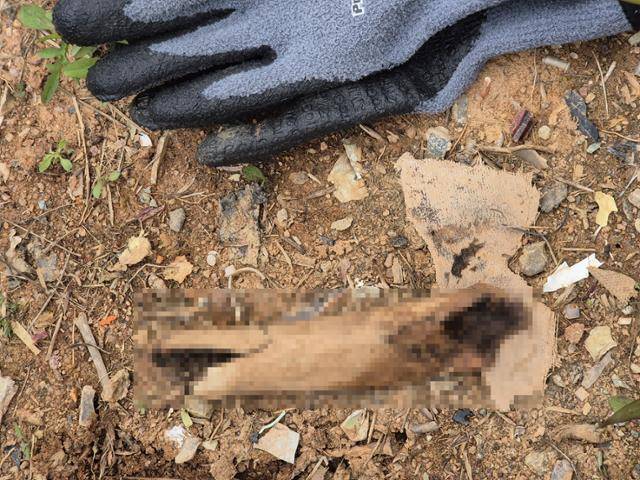 14일 전남 무안국제공항에서 제주항공 여객기 참사 희생자 유해로 추정되는 물체가 발견됐다. 12·29 무안공항 제주항공 여객기 참사 유가족협의회 제공