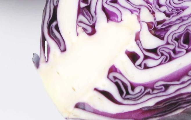 국제 학술지 ‘농업 및 식품 화학 저널(Journal of Agricultural and Food Chemistry)’에 실린 다국적 연구팀 연구 결과에 따르면, 블루베리 등에 풍부한 안토시아닌 성분이 당뇨 발생을 늦추거나 예방하는 데 긍정적인 영향을 미치는 것으로 나타났다. ​/사진=클립아트코리아