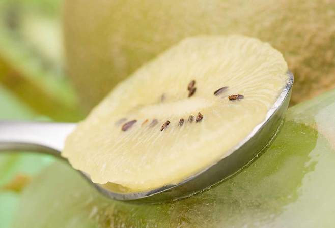 미국 건강매체 버디(Byrdie)는 영양사들이 꼽은 최고의 아침 과일 열 가지를 소개했다./사진=클립아트코리아