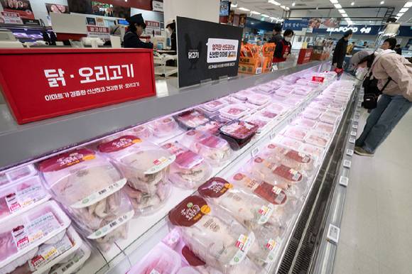 서울 시내 대형마트에 닭고기 등 육계 판매대 모습. [사진=연합뉴스]