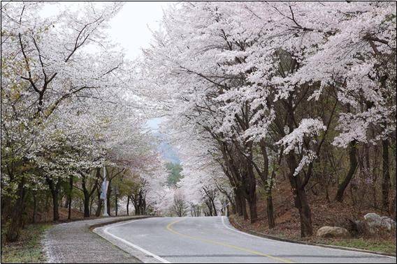 아신대 캠퍼스 전경