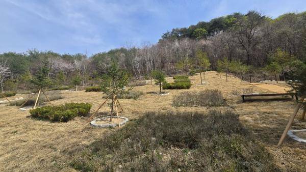 ◇홍천군 추모공원 산분 장지