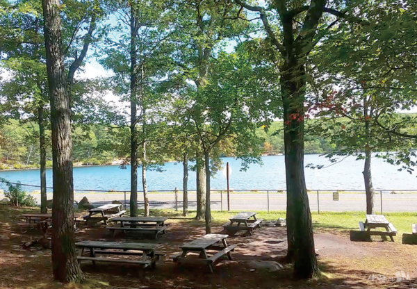 BBQ Day가 진행된 뉴욕의 Harriman State Park