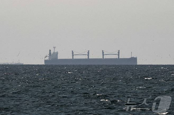 지난 3월 11일(현지시간) 아랍에미리트(UAE) 라스알카이마 북부에서 바라본 호르무즈 해협 인근 페르시아만의 화물선. 2026.04.15. ⓒ 로이터=뉴스1
