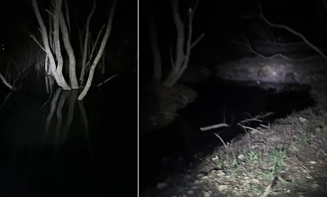 한 네티즌이 야간에 충남 예산군 살목지에 방문해 촬영한 사진. / 블로그 '소이'