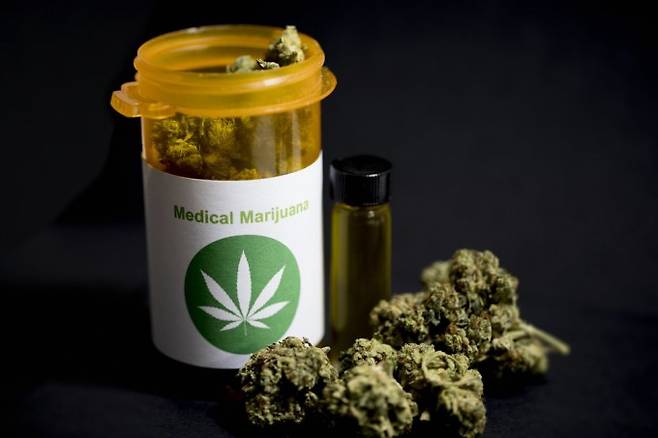 대마 합법화가 늘며 치료·오락용 대마 사용률이 증가하는 추세지만 대마 사용이 뇌에 끼치는 영향에 대한 연구가 아직 부족하다고 전문가들은 우려한다. 게티이미지뱅크 제공.