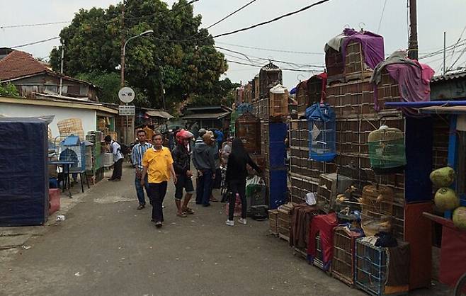 살아있는 동물이 거래되는 인도네시아 동자카르타의 야생동물 시장. 위키미디어 코먼스