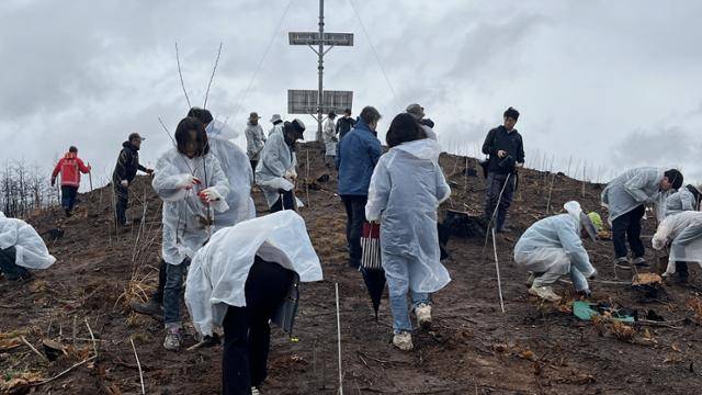 지난 4일 경북 안동시 풍천면 어담리 야산에서 자원봉사자들이 '안동 산불 피해지 복원 나무 심기 행사'에 참여하고 있다. 연합뉴스
