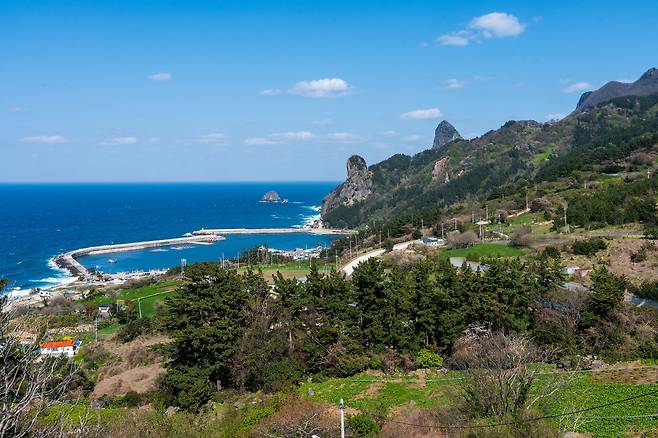 울릉도 북면 현포전망대에서 본 현포항 일대 봄 풍경. 명이와 부지깽이 밭이 곳곳에 보인다. 백종현 기자