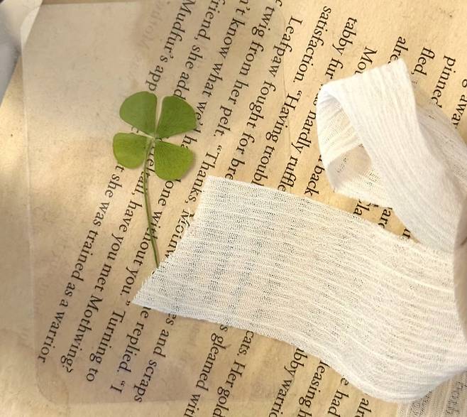 네잎클로버/사진=김민주 기자